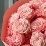 кустовой розы