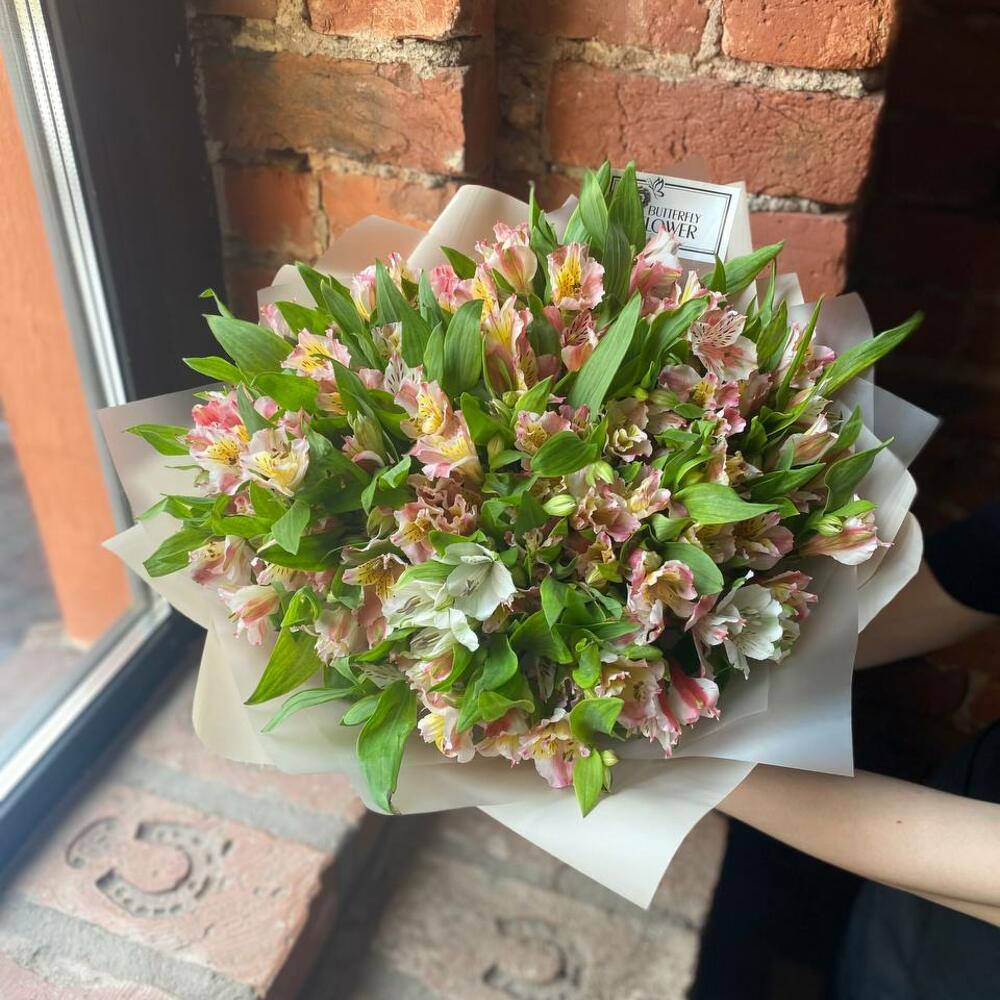 Букет из 35 альстромерий 