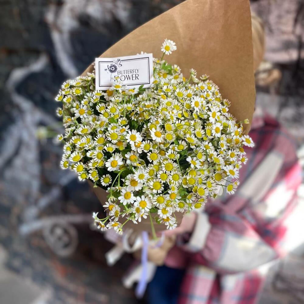 Букет из 21 матрикарии в стильной крафтовой упаковке 