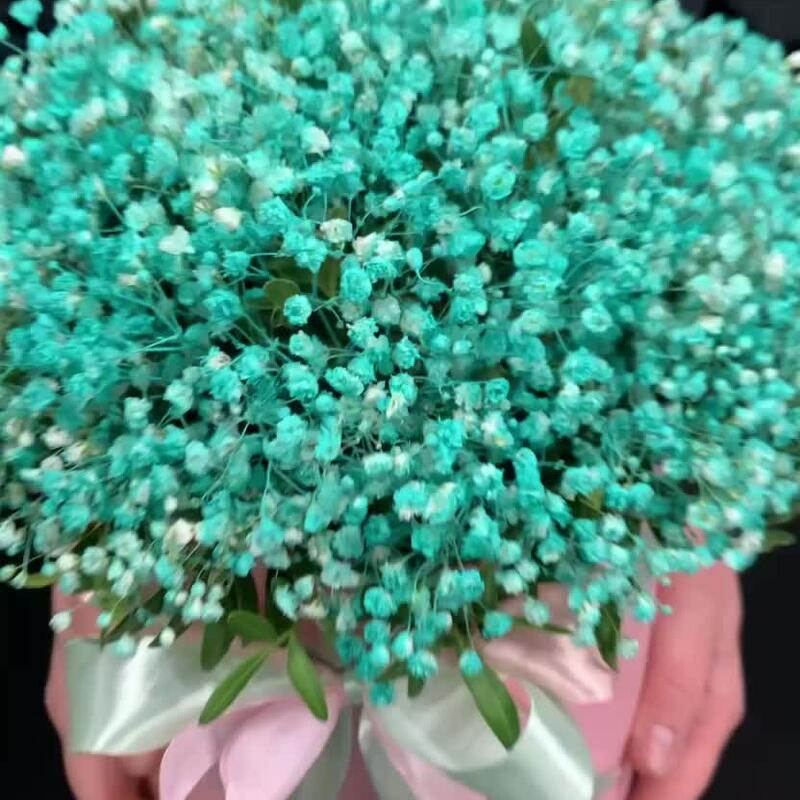 Гипсофила в коробке 