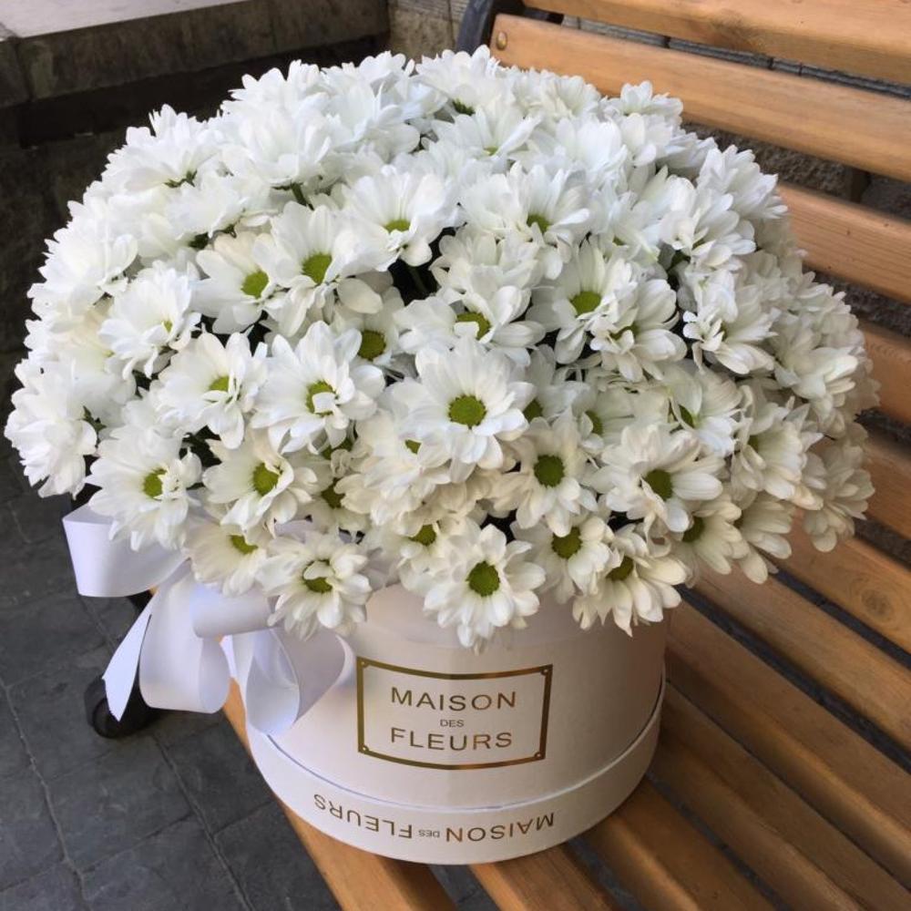 Ромашковые хризантемы в Коробке