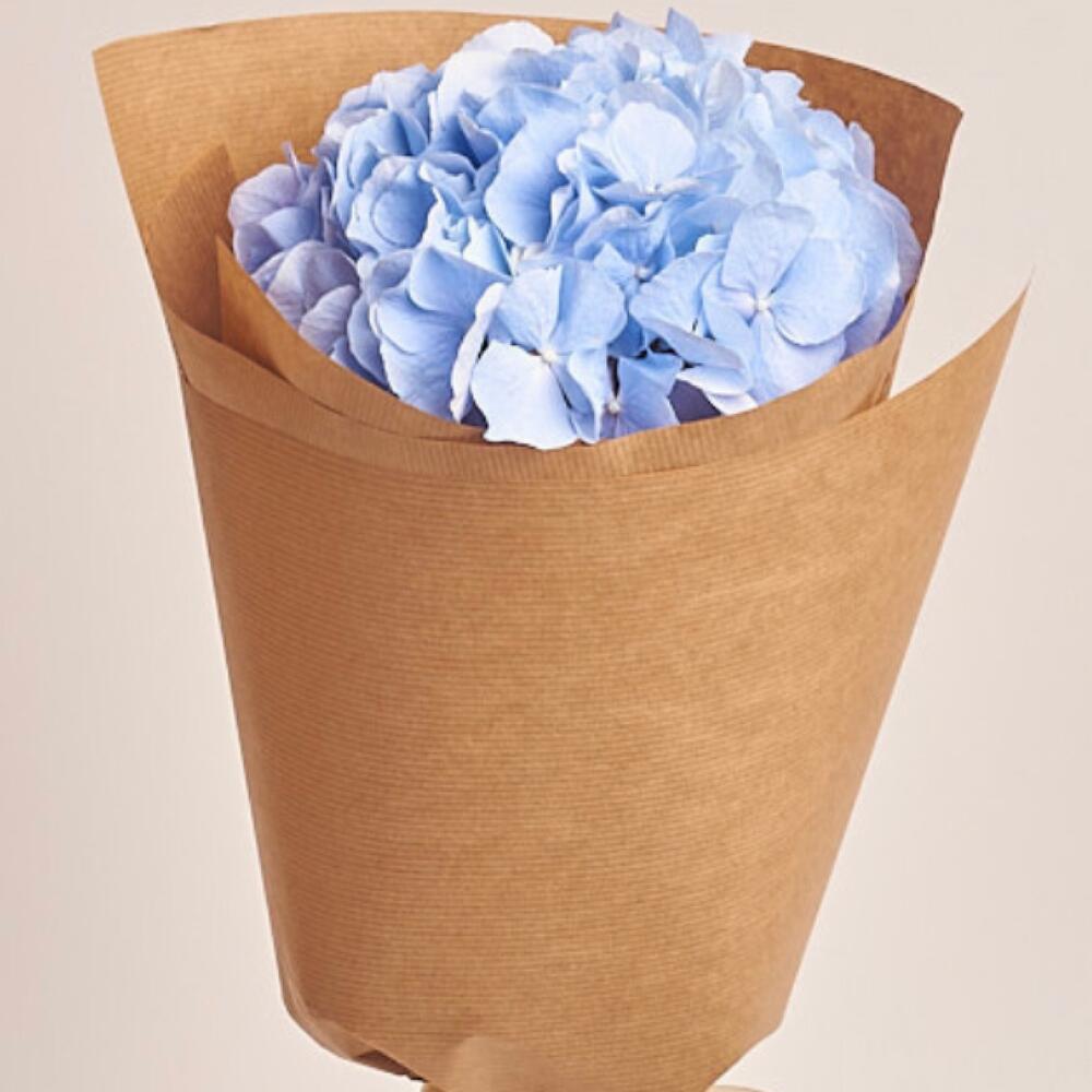 Букет блакитна гортензія