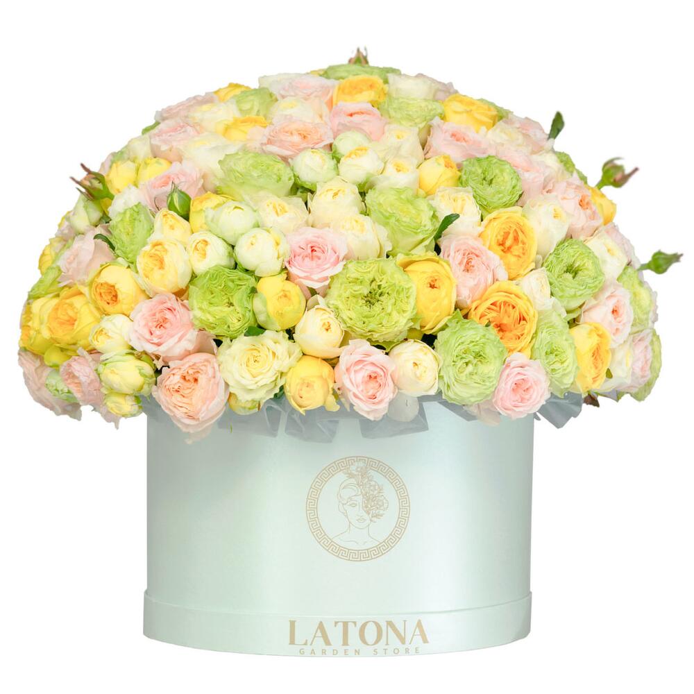 FAUNA bush peony roses