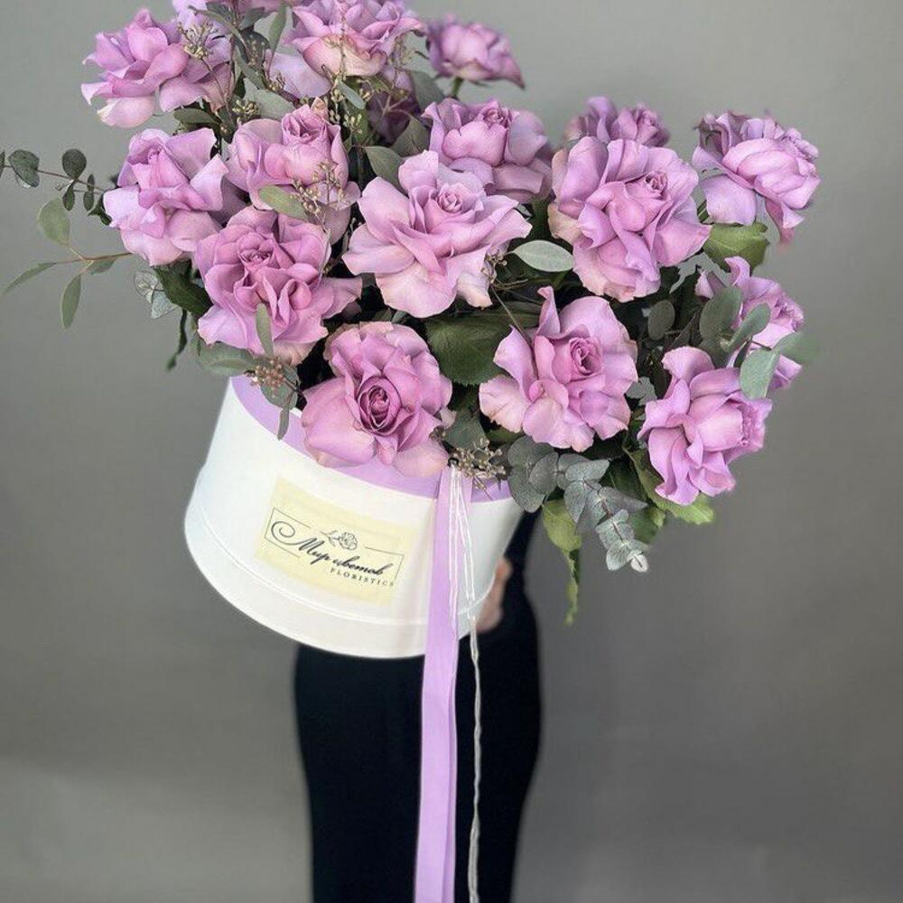 Коробка viver 8