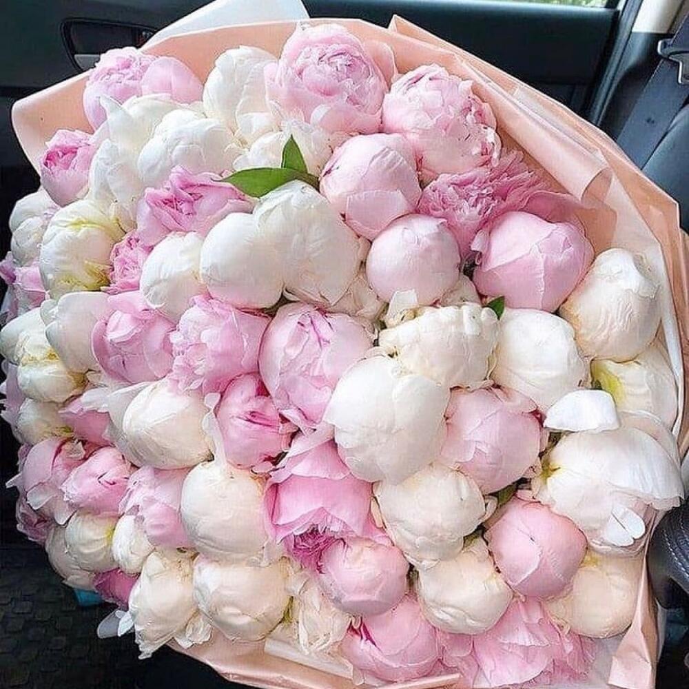 Букет из 85 пионов микс